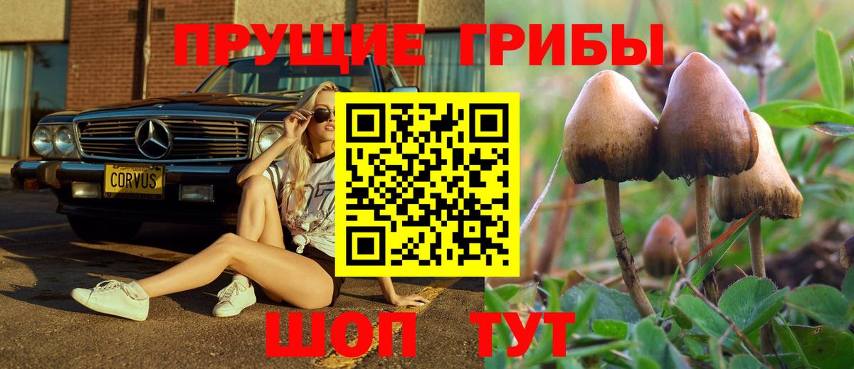 Красноармейск  Галлюциногенные грибы MAGIC MUSHROOMS  Галлюциногенные грибы Psilocybine cubensis  Вход с VPN 